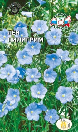 Семена лён Пилигрим небесно-голубой СЕДЕК 0,1 г